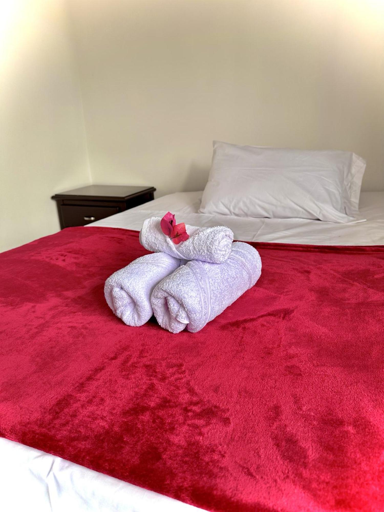 The View Hostel & Lounge カリ エクステリア 写真